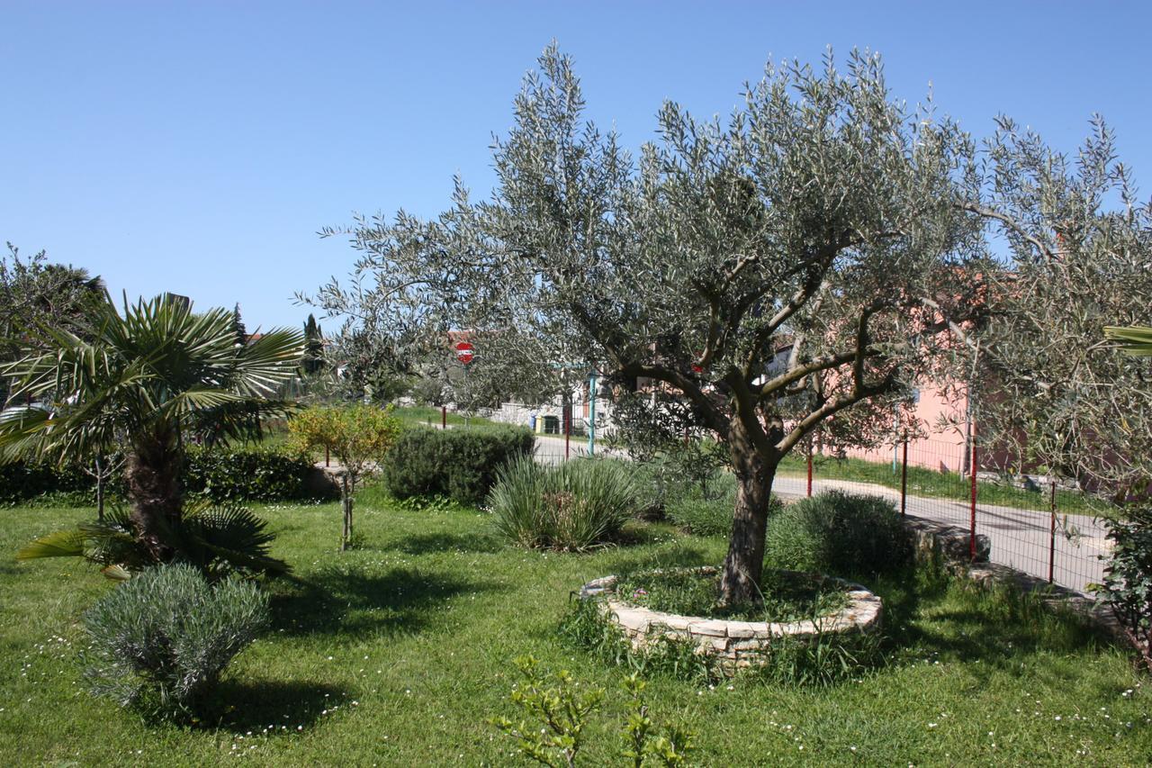 Lorena With Sea View Rovinj Exterior foto